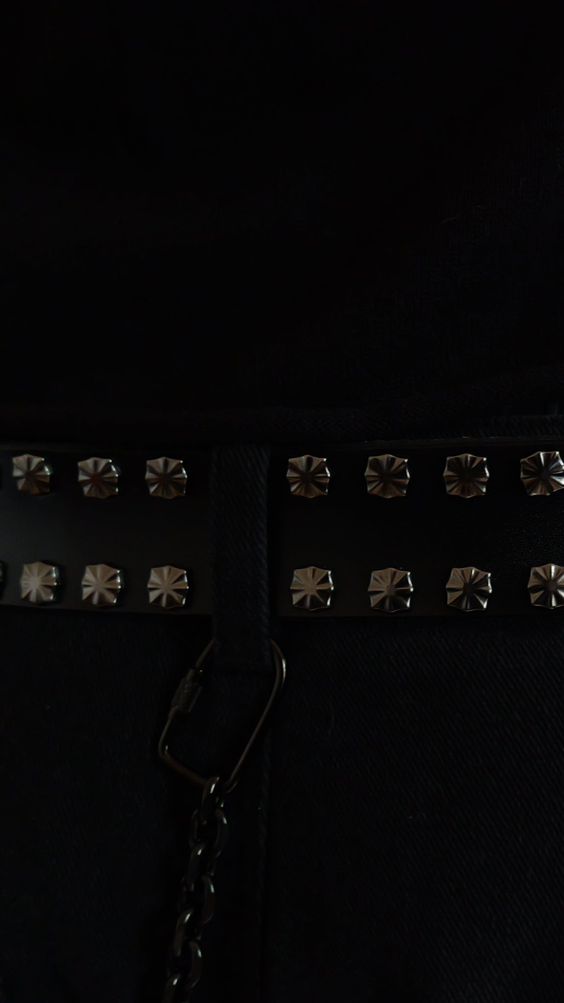 Black Beast Belt